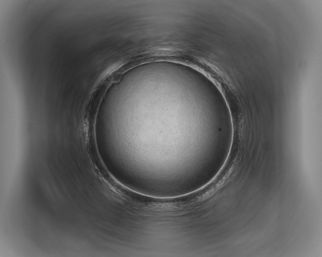 X0000113631402200909181507