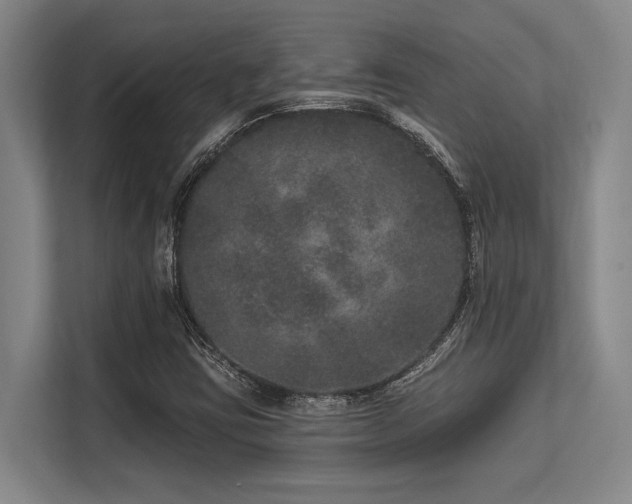 X0000113631403200909181507