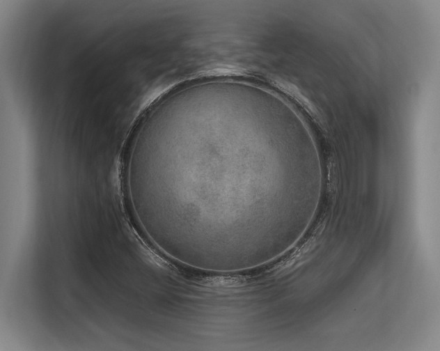 X0000113631404200909181507