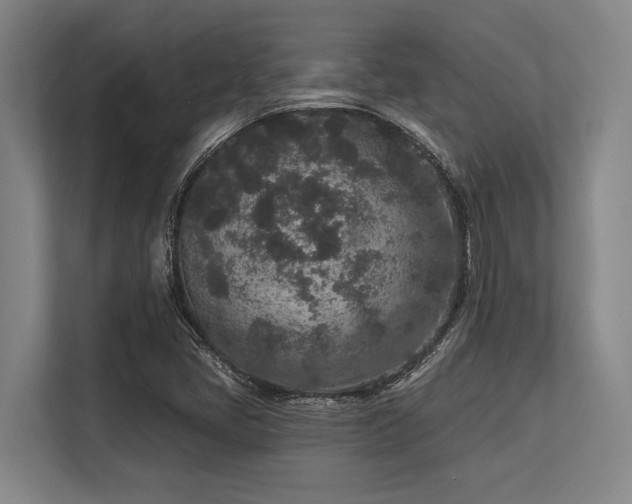 X0000113631405200909181507