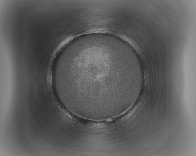 X0000113631406200909181507