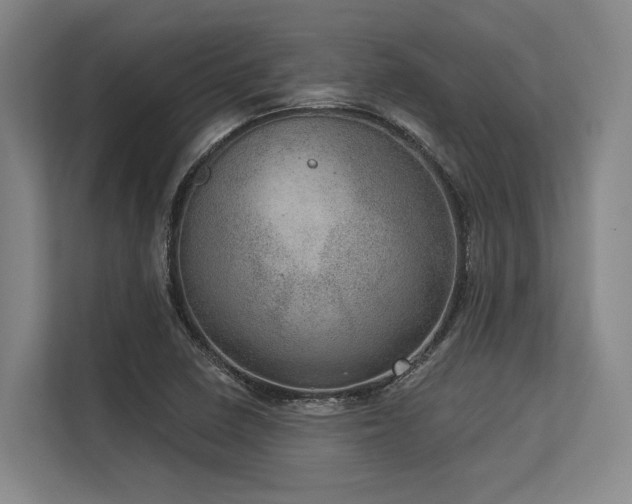 X0000113631410200909181507