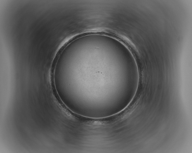 X0000113631412200909181507