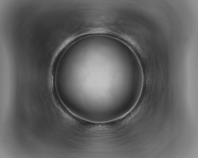 X0000113631414200909181507