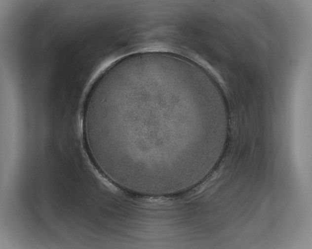 X0000113631416200909181507