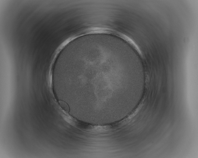 X0000113631419200909181507