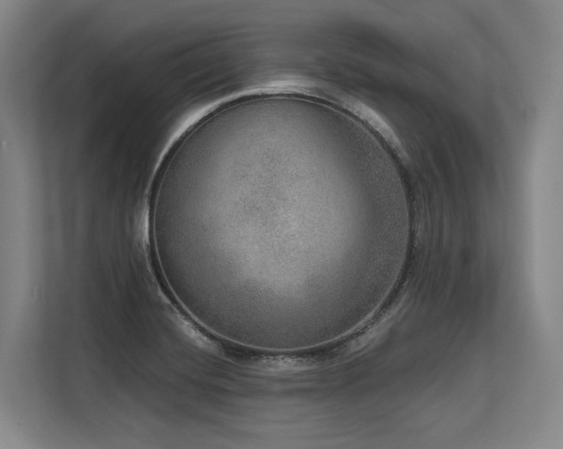X0000113631420200909181507