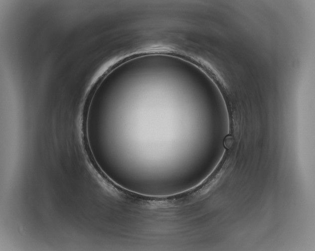 X0000113631422200909181507