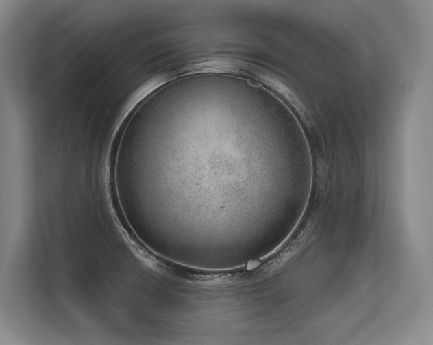 X0000113631426200909181507