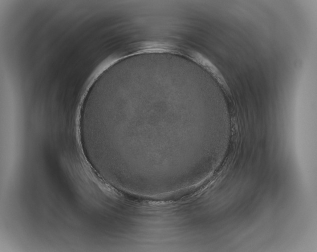 X0000113631427200909181507