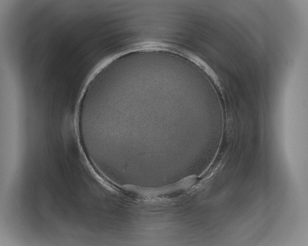 X0000113631429200909181508