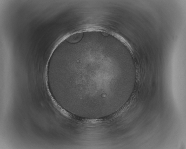 X0000113631431200909181508