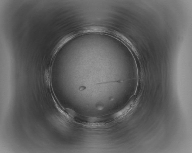 X0000113631433200909181508