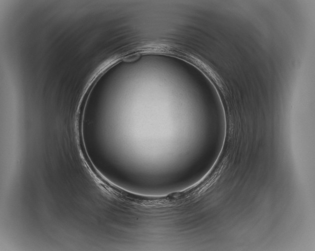 X0000113631434200909181508