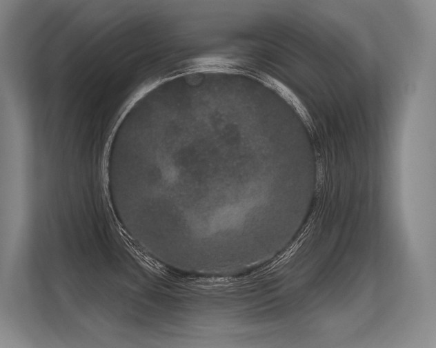 X0000113631435200909181508