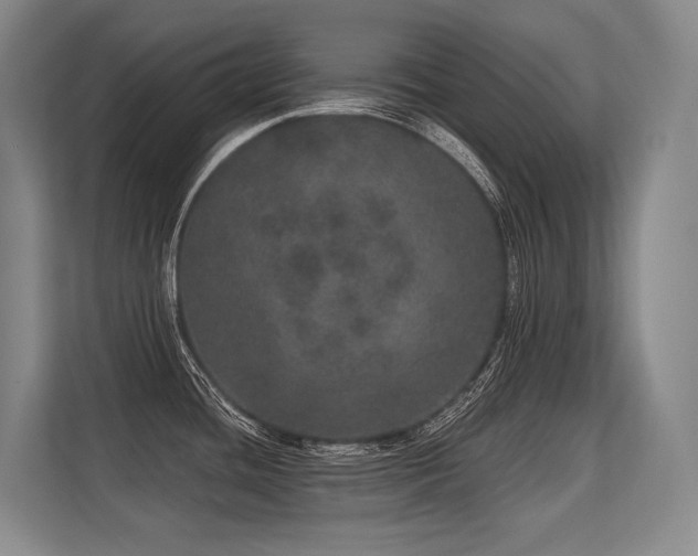 X0000113631436200909181508