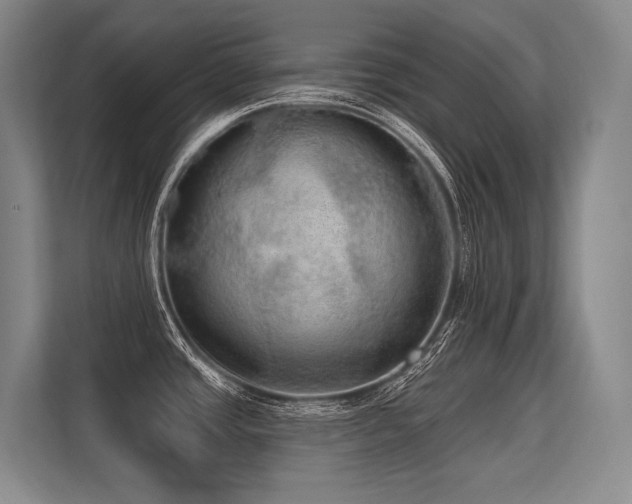 X0000113631437200909181508