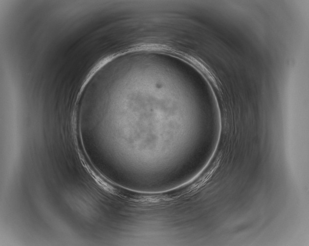 X0000113631438200909181508