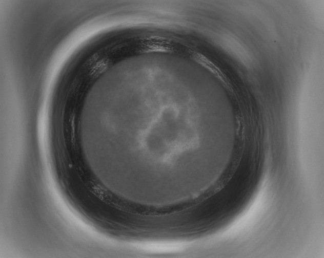 X0000113631439200909181508