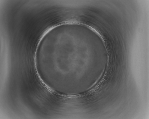 X0000113631440200909181508