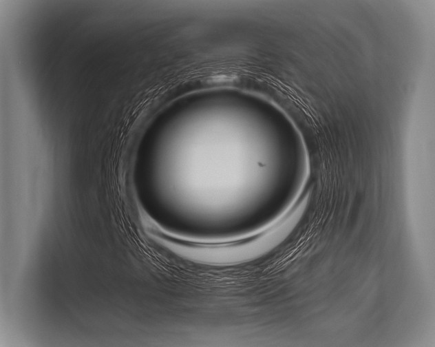 X0000113631441200909181507