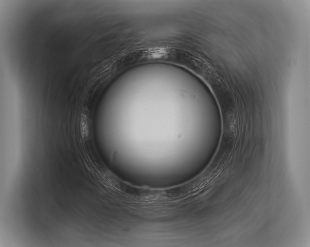 X0000113631442200909181507