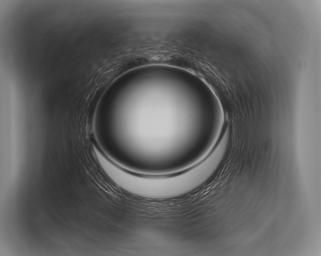 X0000113631444200909181507