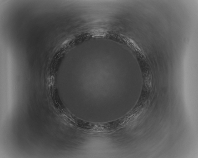 X0000113631445200909181507