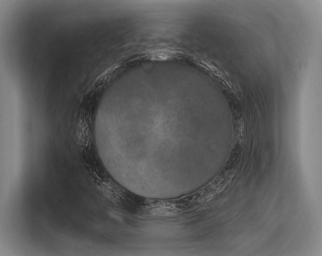 X0000113631446200909181507