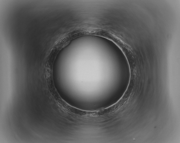 X0000113631447200909181507