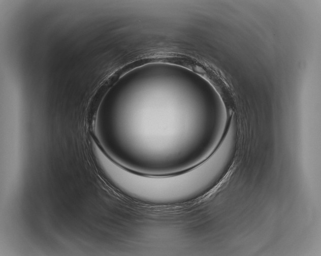 X0000113631449200909181507