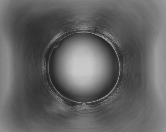 X0000113631450200909181507