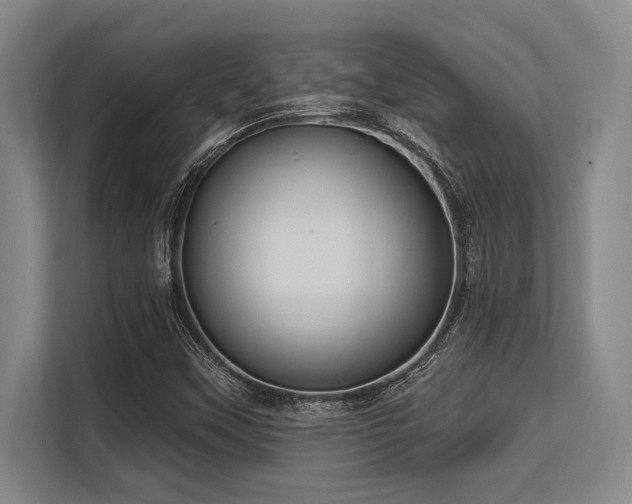 X0000113631451200909181507
