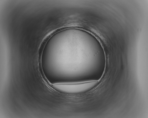 X0000113631452200909181507