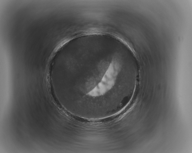 X0000113631453200909181507