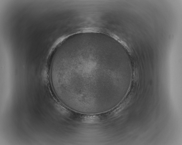 X0000113631454200909181507