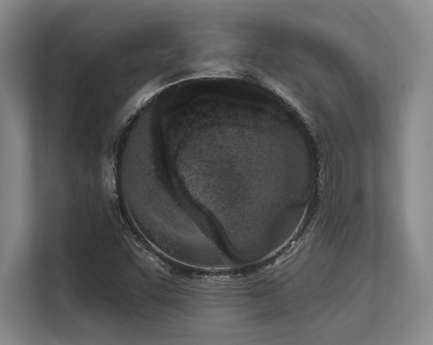 X0000113631455200909181507