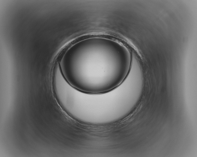 X0000113631456200909181507