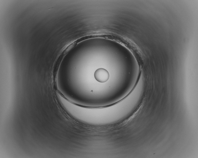 X0000113631457200909181507