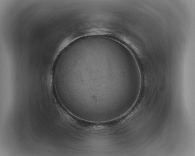 X0000113631459200909181507