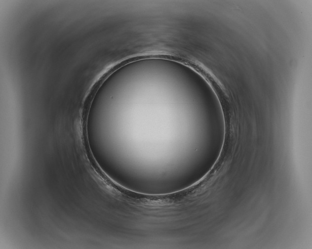 X0000113631460200909181507