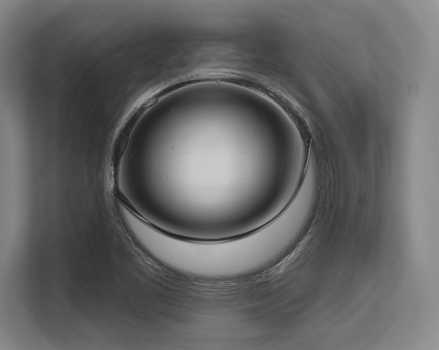 X0000113631461200909181507