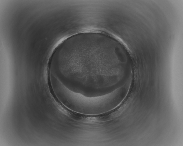 X0000113631463200909181507