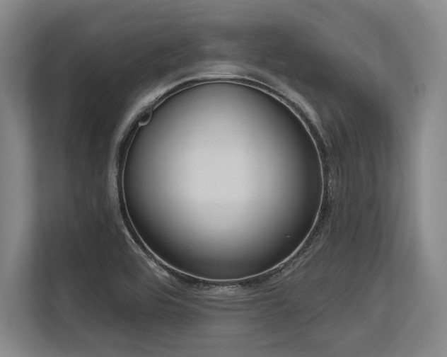 X0000113631464200909181507