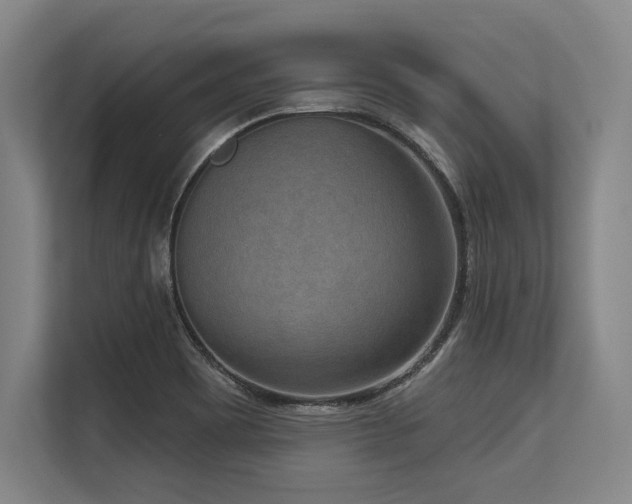 X0000113631465200909181507