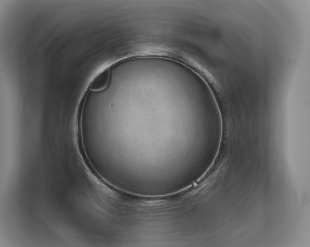 X0000113631471200909181507