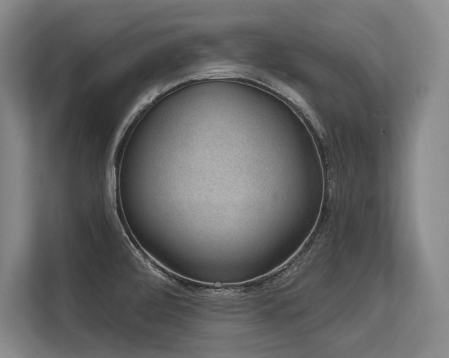 X0000113631472200909181507