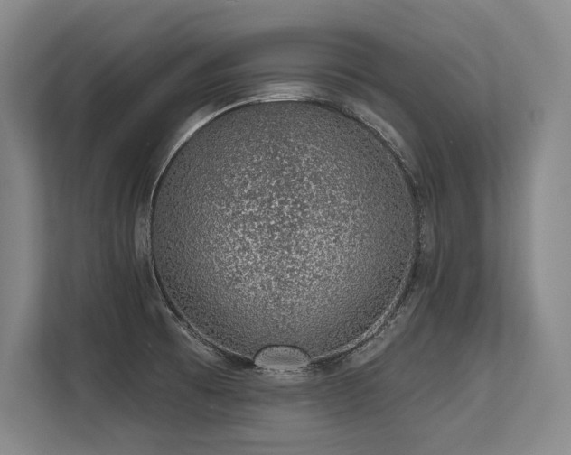 X0000113631473200909181507