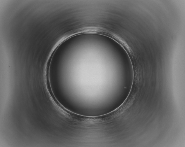 X0000113631475200909181507
