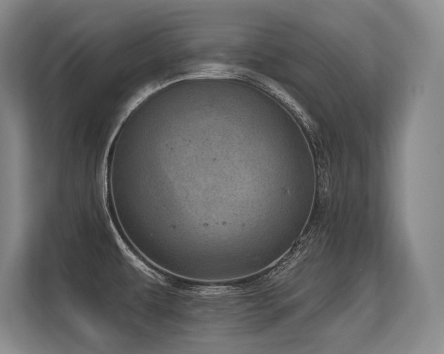 X0000113631479200909181507